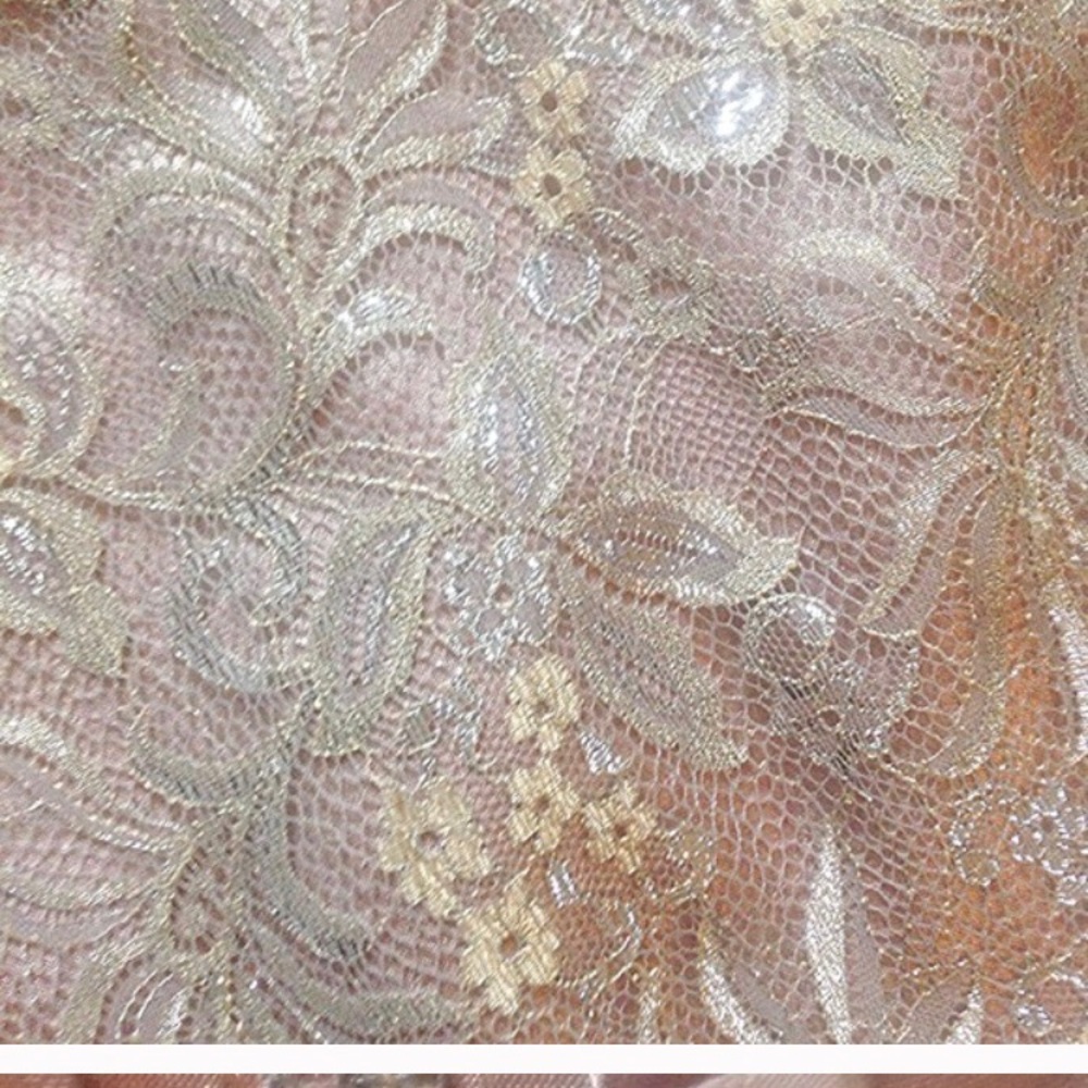 Radenroro New York Lace Gauze Dress - Picture 3 of 4